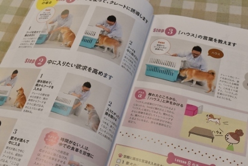愛犬飼育スペシャリスト | ブログ | 相模原 町田 多摩【スタディドッグ